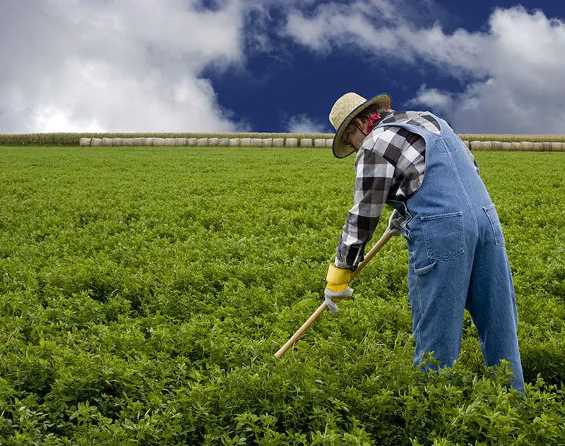 Podpis nájomnej zmluvy medzi vlastníkom a farmárom na poli, symbol dohody o prenájme ornej pôdy a dotáciách PPA
