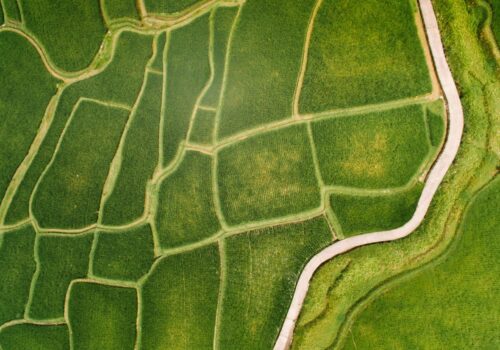 Letecký pohľad na ornú pôdu na Slovensku – pásy polí s plodinami a dedinou v pozadí, symbol poľnohospodárstva a investičnej hodnoty pôdy.