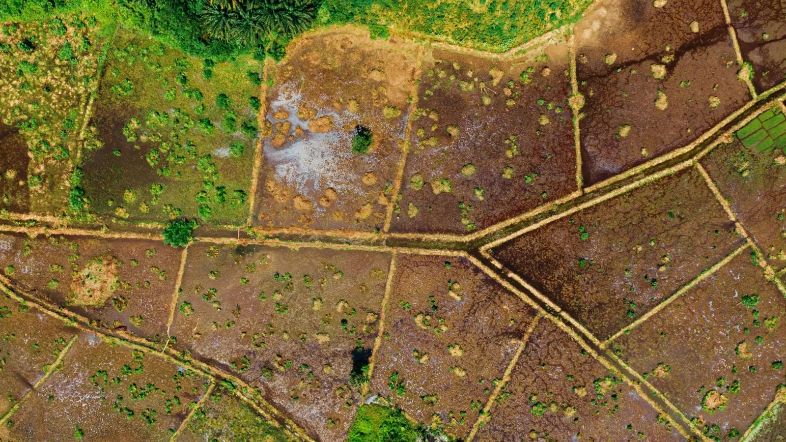 Ako rozdeliť pozemok v intraviláne? 6 pozemok v intraviláne s vyznačenými hranicami parciel